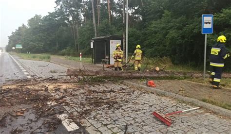 Burza I Silny Wiatr Ama Y Drzewa W Powiecie Piotrkowskim Powalone