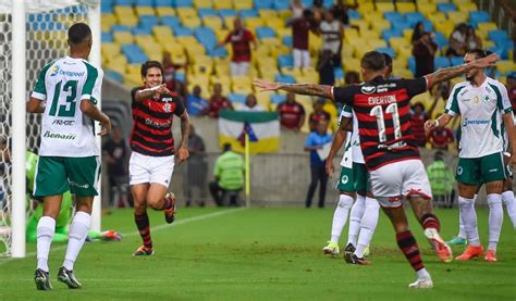 Anotou A Placa Flamengo Goleia O Boavista E Faz A Festa Da Na O No