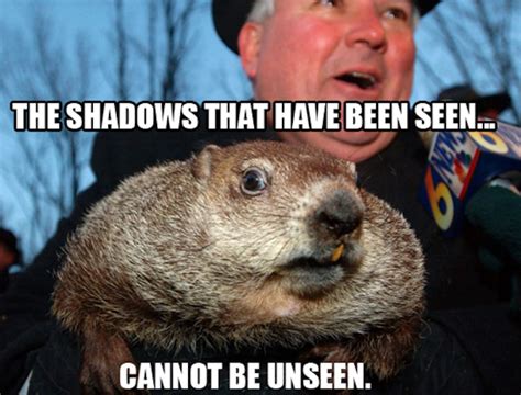 10 Groundhog Day Memes That Celebrate The Ridiculousness Of This Tradition