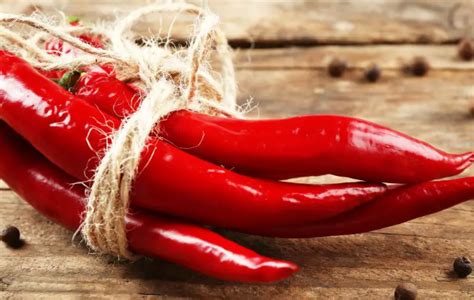 How Hot Is Pure Capsaicin Scigroundbio