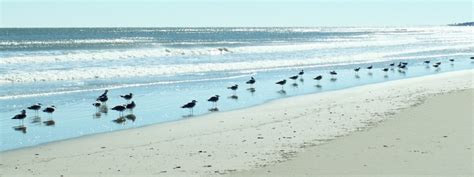 Pawleys Island Attractions - South Carolina - Low Country Holidays