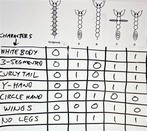 Solved Based on the derived characters, the principle of | Chegg.com