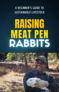 Raising Meat Pen Rabbits A Beginner S Guide To Sustainable Livestock