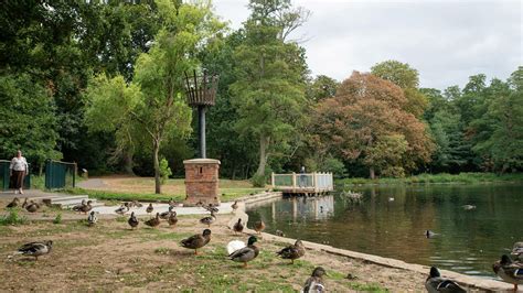 Boultham Park plants light show postponed due to forecast rain and wind