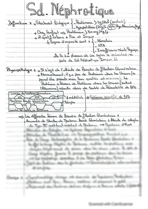 Solution Syndrome N Phrotique Nephrotic Syndrome Studypool