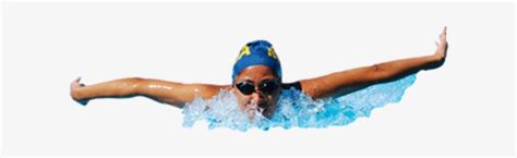 swimmer png transparent background transparent png
