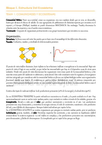 Tema Eco Pdf