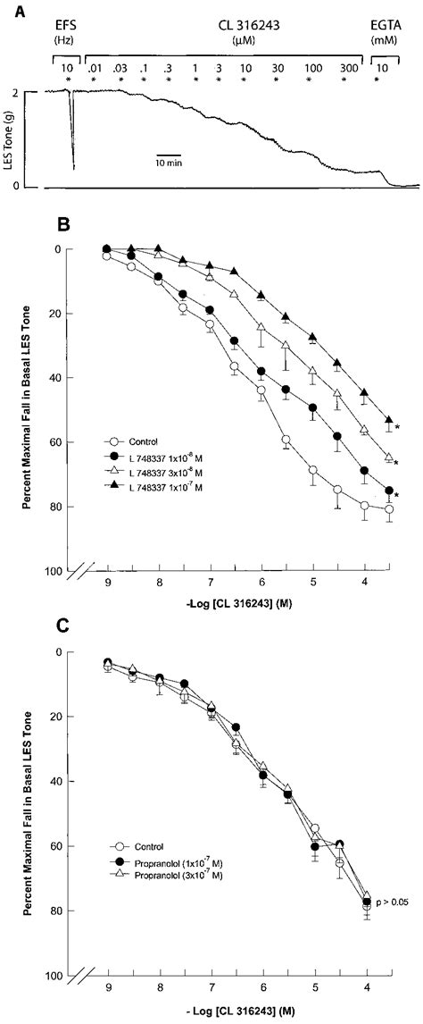 A Typical Tracing To Show Concentration Dependent Response Of Cl