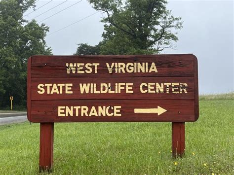 West Virginia Wildlife Center Reopens In French Creek