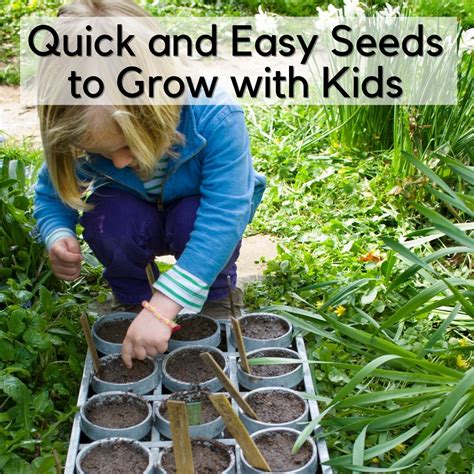 What Is The Easiest Plant To Grow From Seed At Andrew Randy Blog