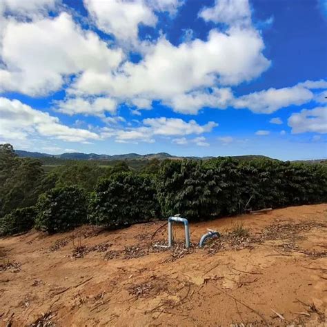 Fazenda 110 hectares em Santa Teresa Terrenos sítios e fazendas