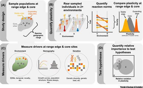 The Evolution Of Plasticity At Geographic Range Edges Trends In