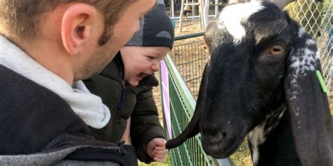 Welkom Bij Kinderboerderij Papenhoeve