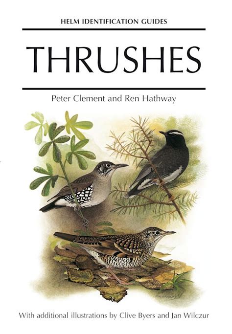 Thrushes | Helm Identification Guide The Birders Store