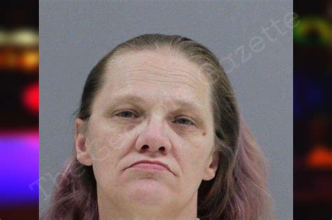 Michelle Watkins Rabun County Jail Bookings