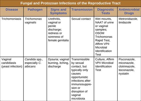 195 Protozoan Infections Of The Reproductive System Biology Libretexts