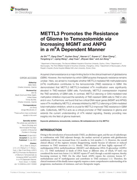 Pdf Mettl Promotes The Resistance Of Glioma To Temozolomide Via