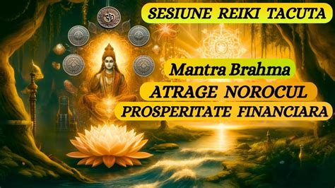 SESIUNE REIKI TACUTA ATRAGE NOROCUL PROSPERITATEA FINANCIARA YouTube