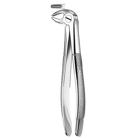 Forceps N Canino Y Premolar Inferior American Eagle Royal Dent