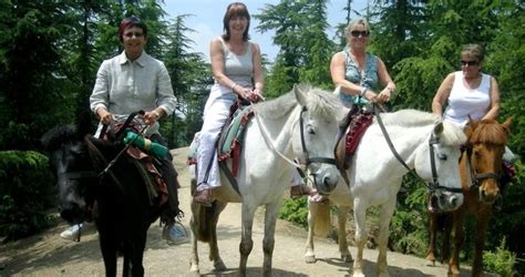 Shimla Kufri Chail Mashobra Naldehra Tour Package | Shimla Kufri Chail ...