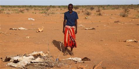 Somalia Declared a National Emergency due to Severe Droughts – Kobciye ...