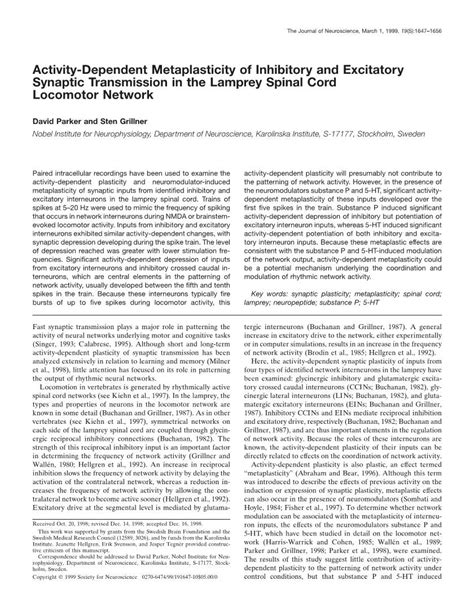 Activity Dependent Metaplasticity Of Inhibitory And Excitatory Synaptic Transmission In The