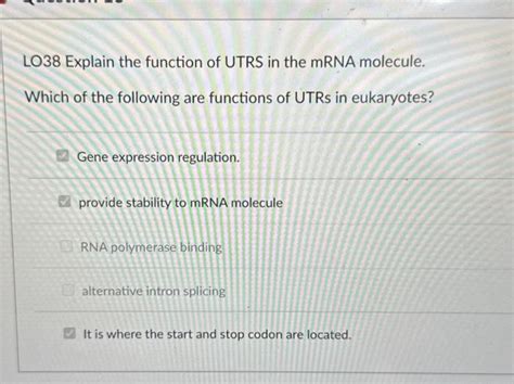 Solved LO38 Explain the function of UTRS in the mRNA | Chegg.com 