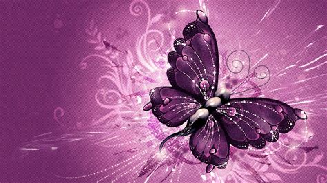 Purple Butterfly Wallpaper Hd - 1920x1080 Wallpaper - teahub.io