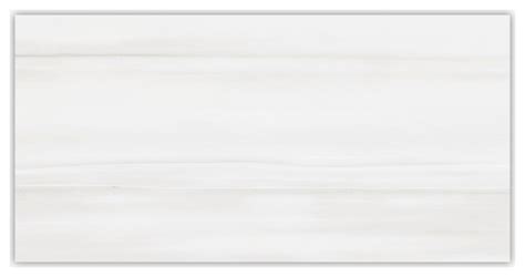 Dolomite White Polished 12x24 Porcelain Tile 12x24 Traditional