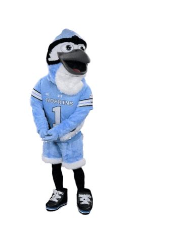 Johns Hopkins University Mascot
