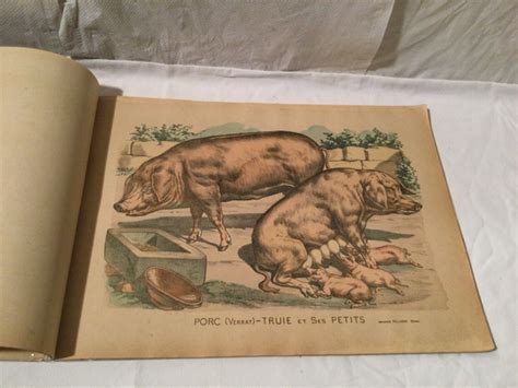 IMAGERIE PELLERIN ALBUM ALPHABET ANIMAUX POISSONS EBay