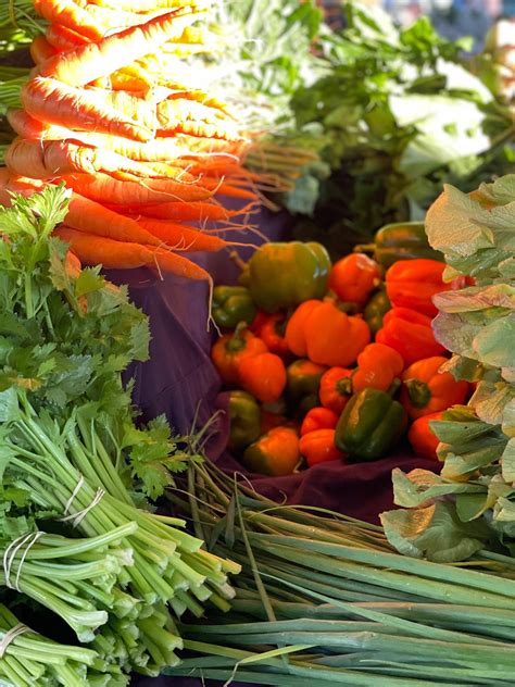 Pet Supplies Plus - Cookeville, TN - Happy January, furry friends! By