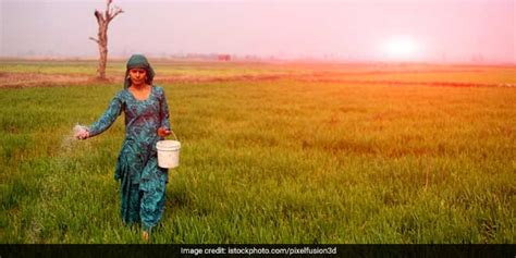 Renaming Of Haryana Village After Donald Trump Called As A Fraud Event ...