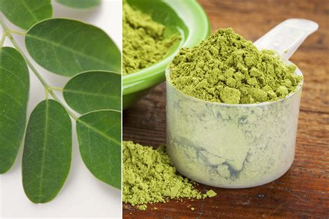 Everything You Need To Know About Moringa Leaf Powder 19 Benefits