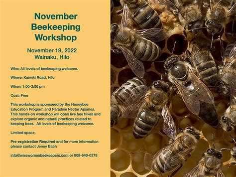 community workshops  classes wise women beekeeper