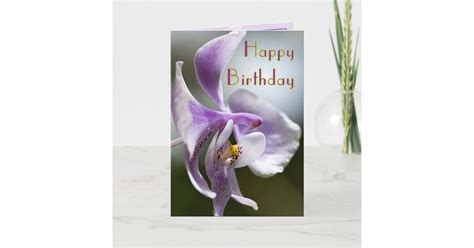 Orchid Birthday Card Zazzleca