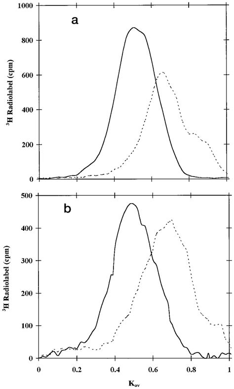 Sepharose Cl 6b Gel Filtration Chromatograph Showing The Position Of Download Scientific