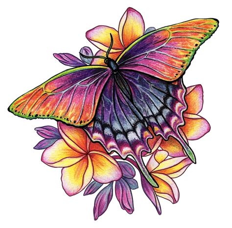 2,038 Colored Pencil Drawing Tropical Flowers Hibiscus Leaves Royalty-Free Photos and Stock ...