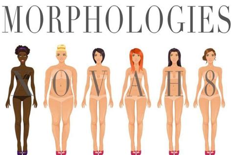 Morphologie du corps apprenez à connaitre vos formes La Sultane