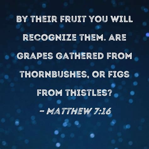Matthew 7:16 By their fruit you will recognize them. Are grapes