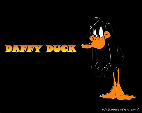 X Daffy Duck Hd Wallpaper Rare Gallery