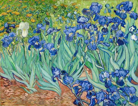 Vincent Van Gogh Les Iris Tableau De GRANDS PEINTRES Et Peinture De