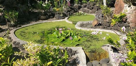 Moir Gardens Poipu 2020 All You Need To Know Before You Go With