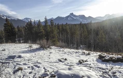 Kananaskis Village Snowshoe Trails