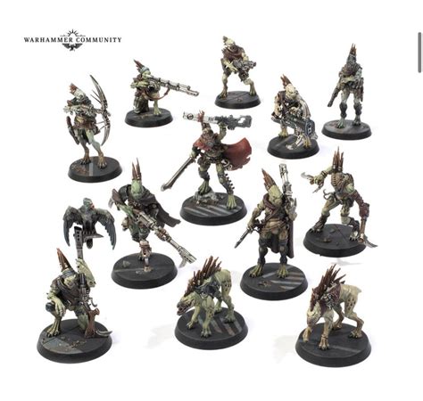 Warhammer 40k Kroot Carnivore Squad Online Buying Pinnaxis