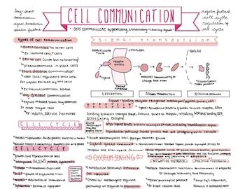 AP Biology Unit 1 Review Notes - Etsy