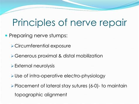PPT - SURGICAL PRINCIPLES OF PERIPHERAL NERVE REPAIR PowerPoint ...