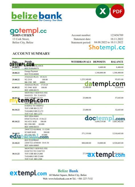 Belize Bank Statement Template In Excel And Pdf Format Fully Editable