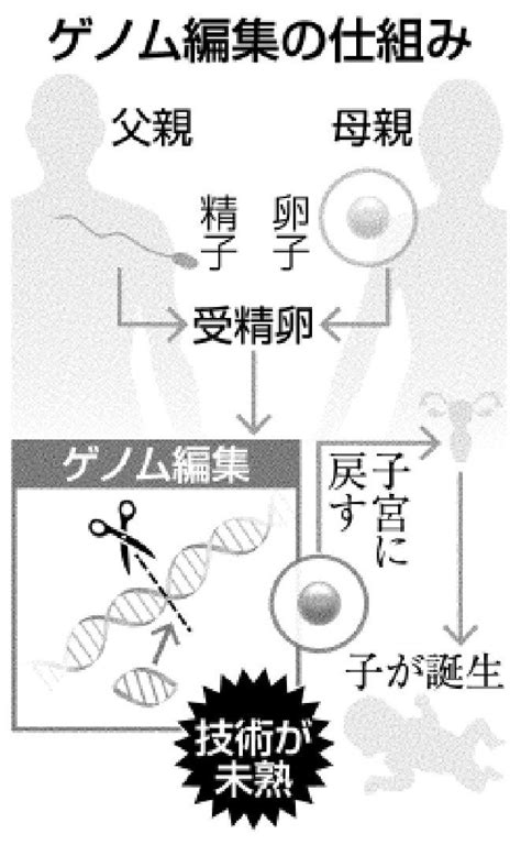 写真：受精卵操作 技術は未熟 ゲノム編集で国際報告 遺伝子の病 予防には道筋 沖縄タイムス＋プラス
