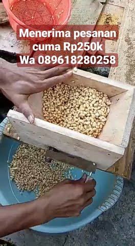 Gilingan Tempe Manual YouTube